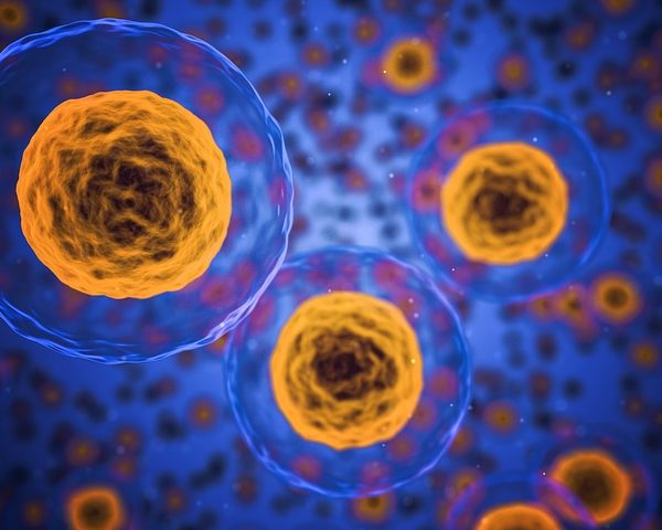 tumore al seno metastasi cancro ricerca novità ultime cure terapie news